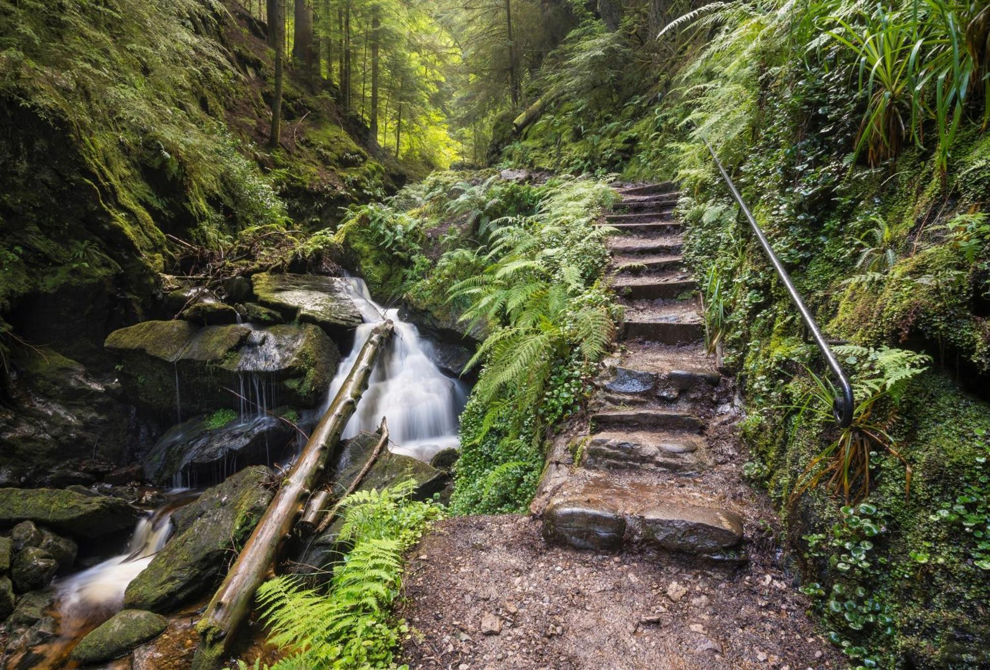 18 Lamont Lodges Dunoon Kültér fotó